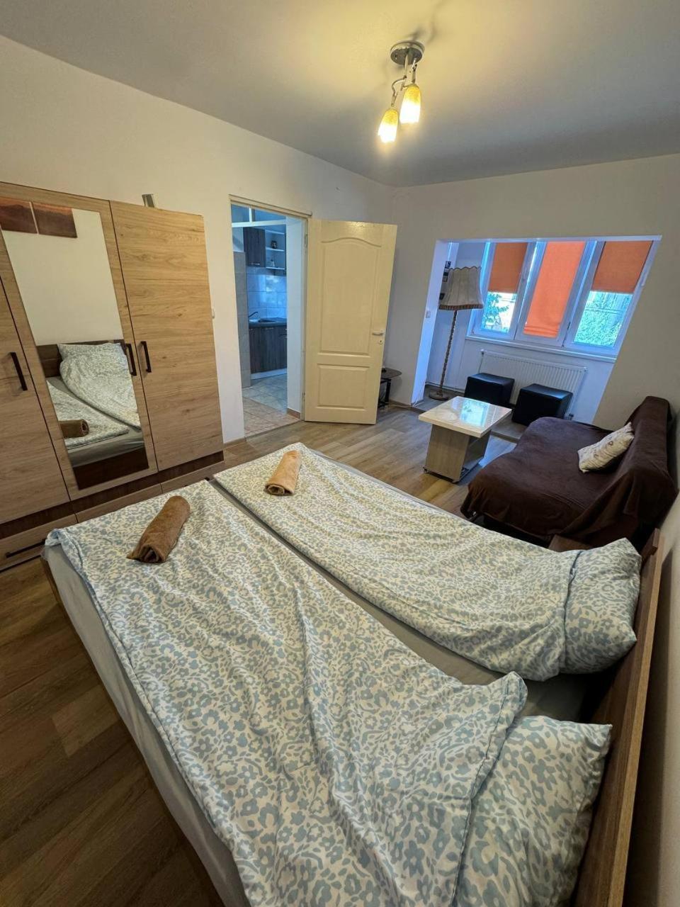 Affordable Apartment Close To The Castle Hunedoara Esterno foto