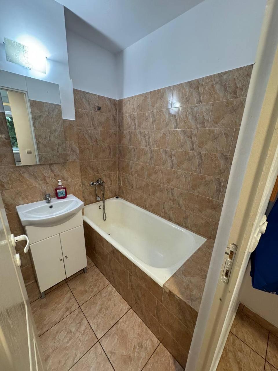 Affordable Apartment Close To The Castle Hunedoara Esterno foto